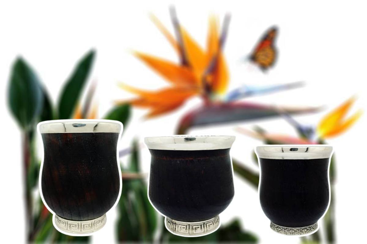 bien-bien-hecho-argentina